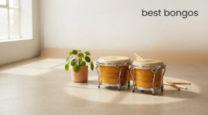 best bongos