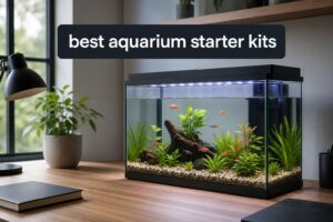 best aquarium starter kits