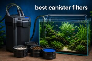 best canister filters
