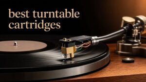 best turntable cartridges