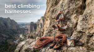 best climbing harnesses