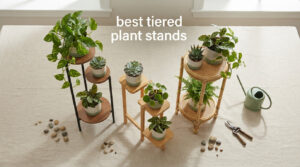 best tiered plant stands