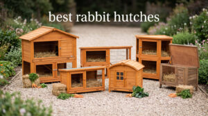 best rabbit hutches