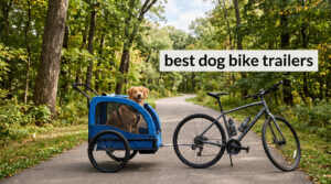 best dog bike trailers