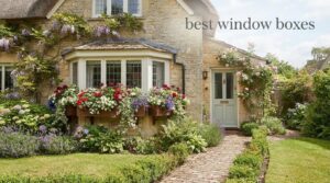 best window boxes
