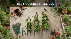 best obelisk trellises