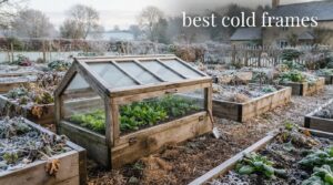 best cold frames