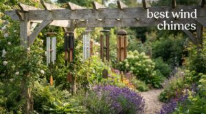 best wind chimes
