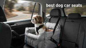 best dog car seats
