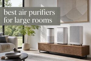 best air purifiers for large rooms