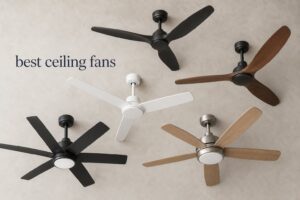 best ceiling fans