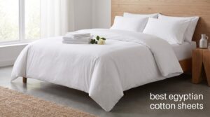 best egyptian cotton sheets