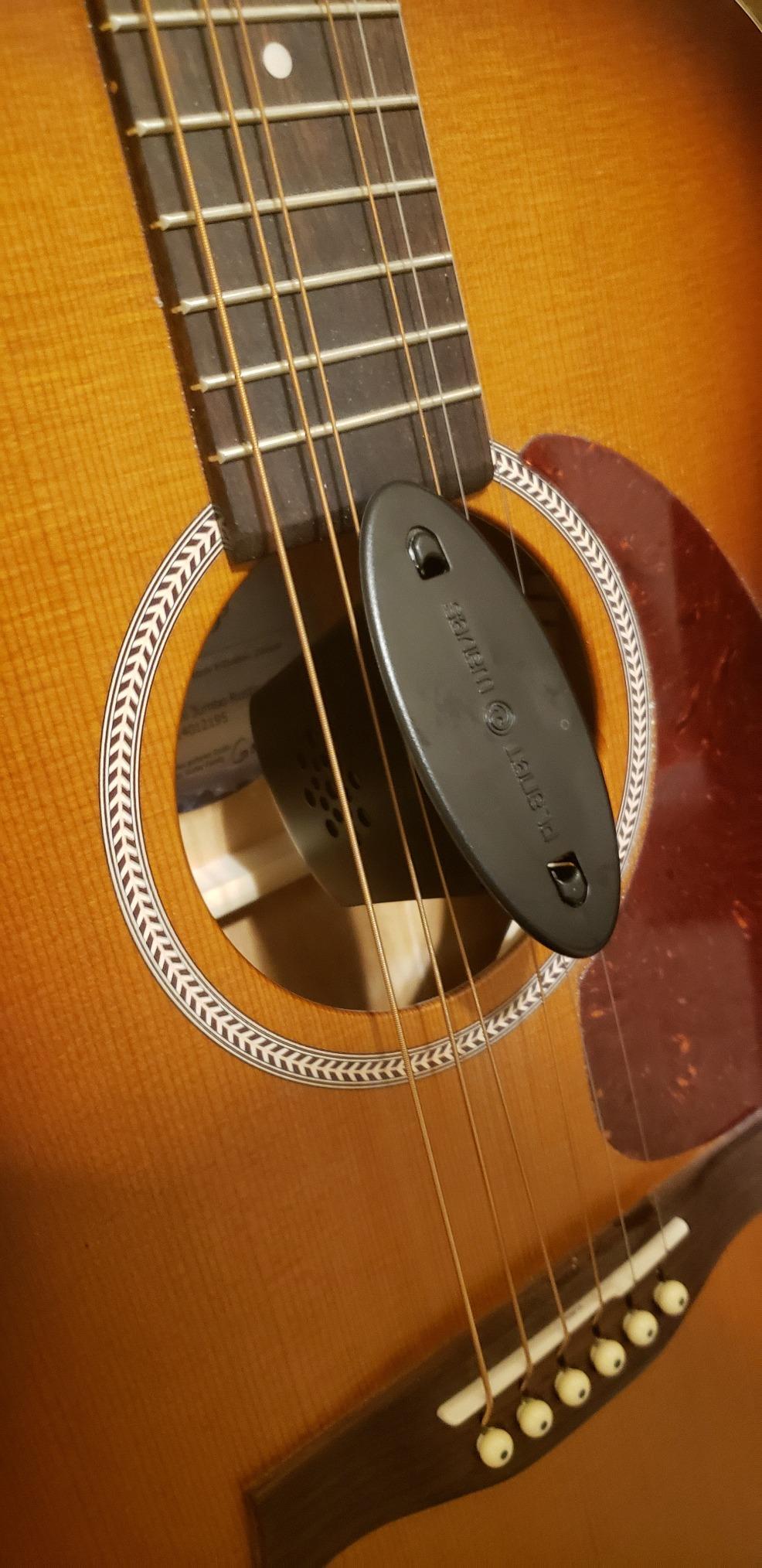 D'Addario Acoustic Guitar Soundhole Humidifier customer photo 1