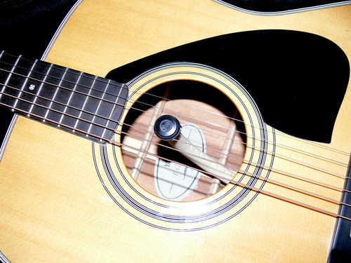 Martin Guitar Humidifier customer photo 1