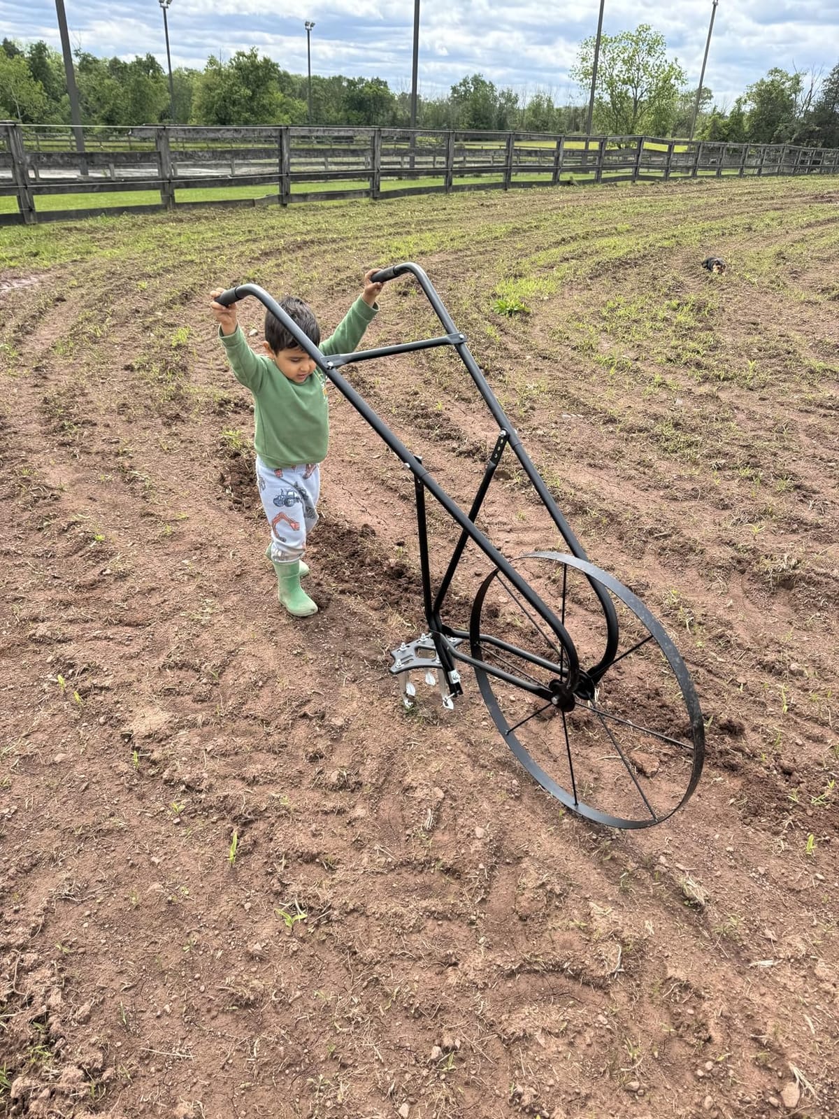 EarthWay 6500 High Wheel Tubular High Wheel Cultivator with Comfort Handle with 3-Position Adjustable, Quick Change Implements, and 24 Inch Steel Wheel customer photo 1