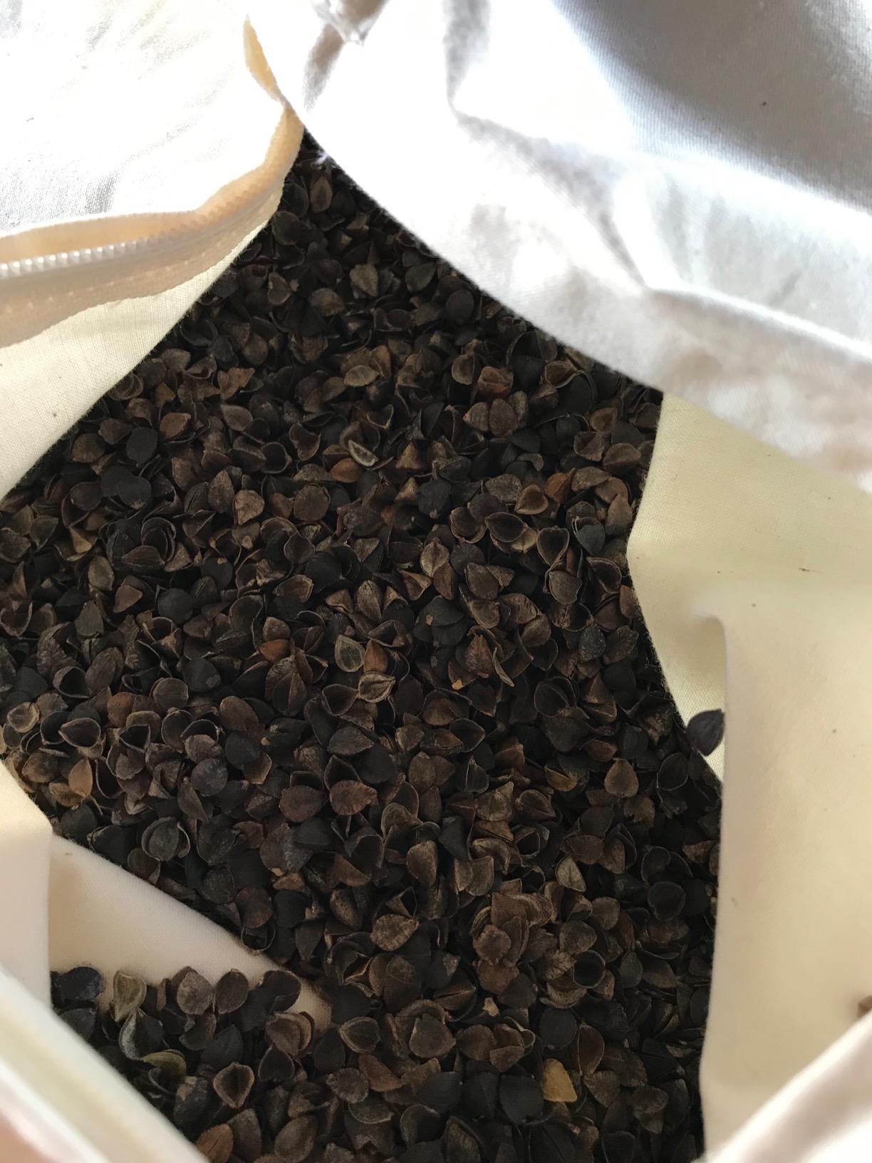 Beans72 Organic Buckwheat Pillow - Queen Size (20 inches x 30 inches) customer photo 2