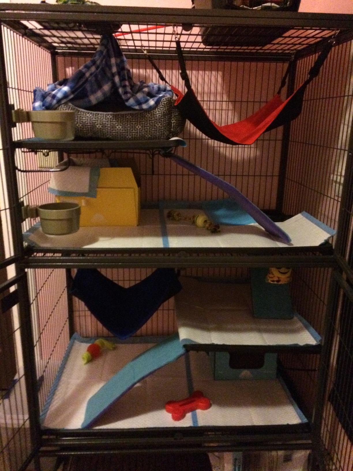 MidWest Homes for Pets Ferret Nation Single Unit Small Animal Cage customer photo 1