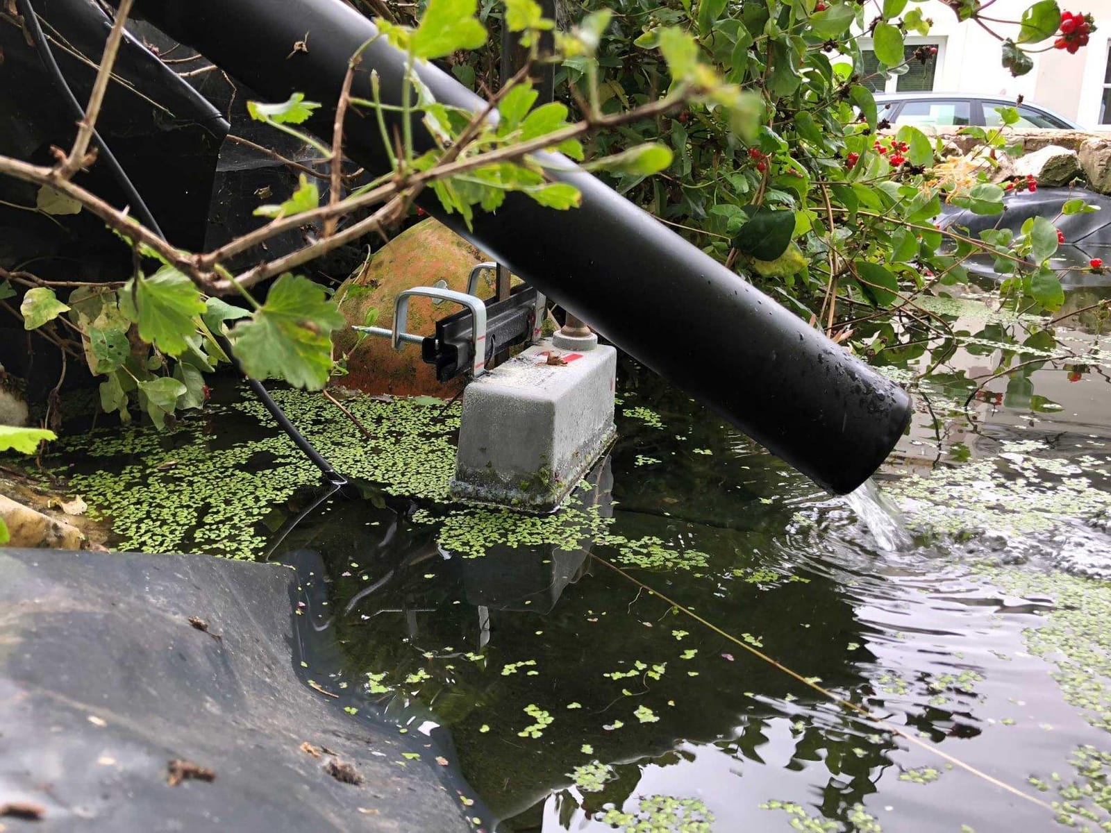 Little Giant Trough-O-Matic Stock Water Tank | Float Valve Controlled Watering Tank with Aluminum Housing | Made In USA customer photo 2