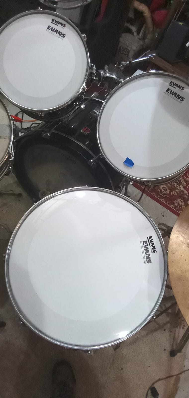Evans G2 Coated Standard Tompack Drumheads 12, 13, 16