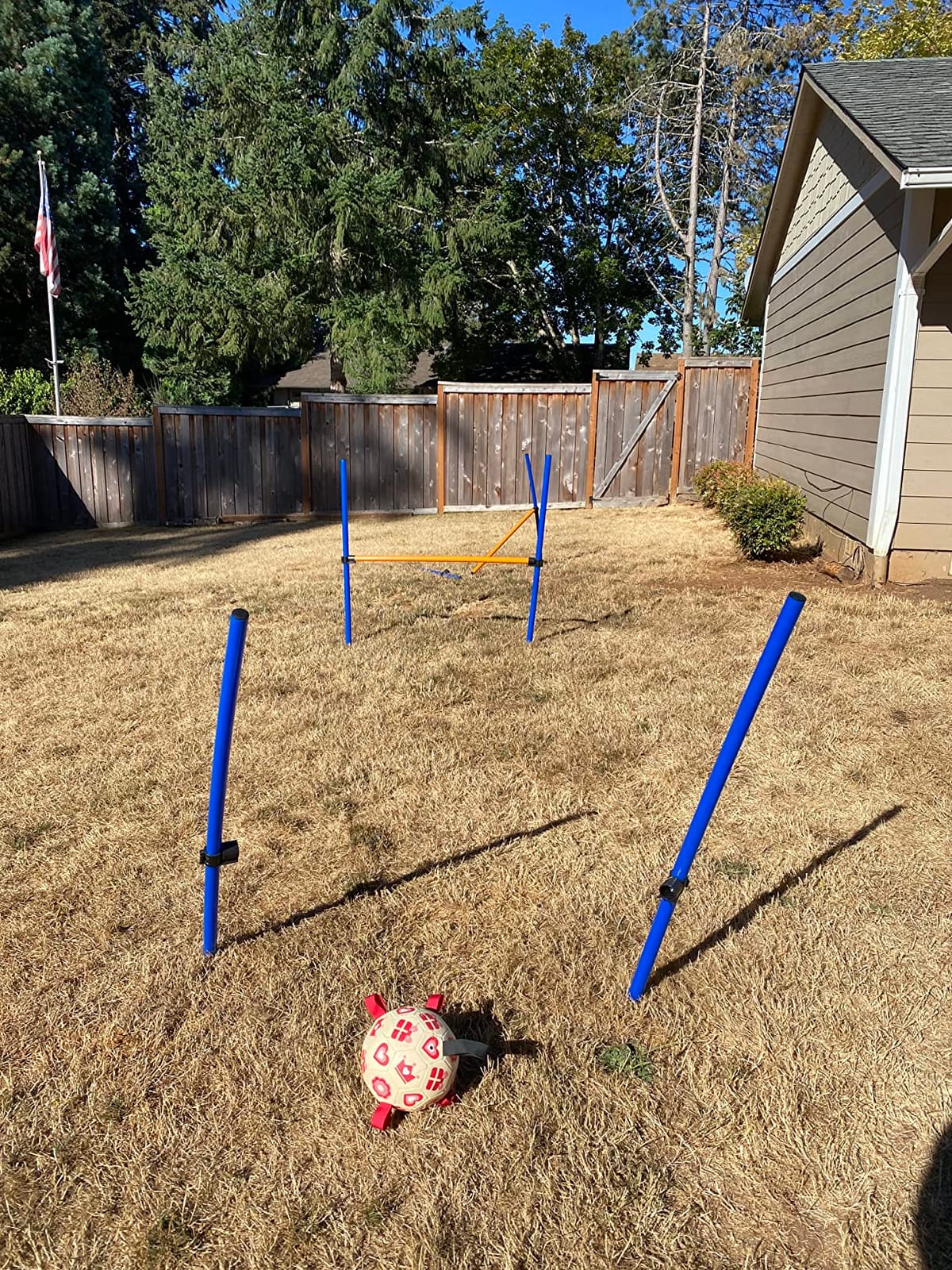 TRIXIE Dog Agility Hurdle with Height Adjustable Crossbar | Agility at Home, Dog Obstacle Training Equipment for Indoor and Outdoor Use customer photo 2