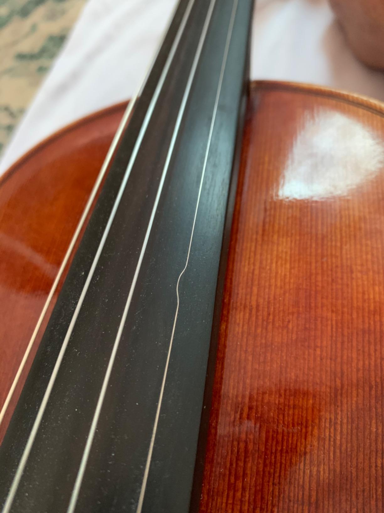 JSI Special 4/4 Violin String Set: Gold Label Ball-End E & Dominant A, D, and G - Medium customer photo 1