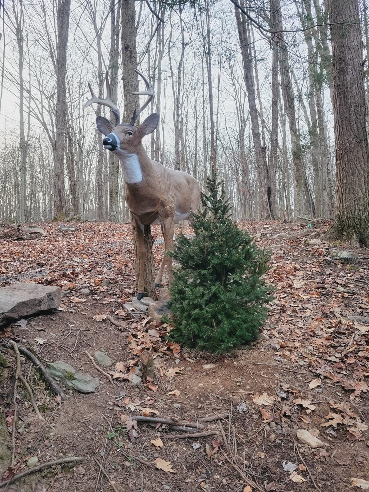 Flambeau Outdoors 5965MS Boss Buck - Masters Series Deer Decoy customer photo 1