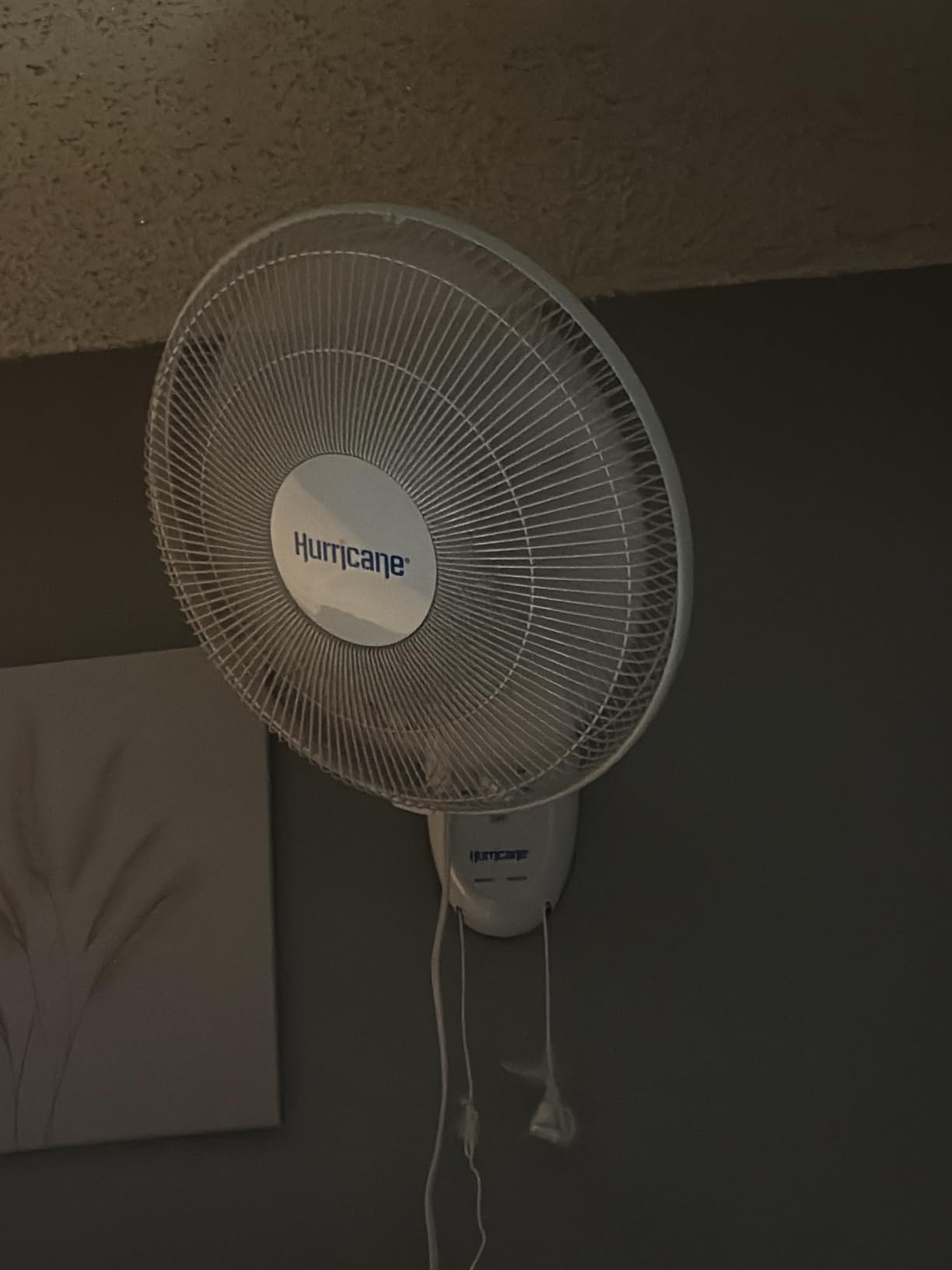 Hurricane Supreme Oscillating Wall Fan, 3 Speeds, White - 16in | Quiet Operation - Wall Mount Corded Electric Air Cooling Unit with Pull Cords for Home, Garage, Greenhouse, Workshop, or Gym customer photo 1