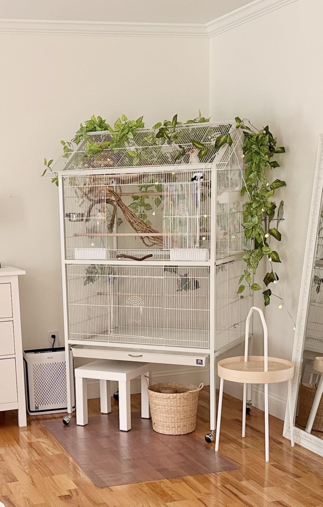 Prevue Pet Products Steel Bird Flight Cage with Wheels - Large Birdcage for Parakeets, Canaries, Finches, Cockatiels, Lovebirds, & Green Cheek, Metal Standing Birdcage - Black, Large customer photo 1