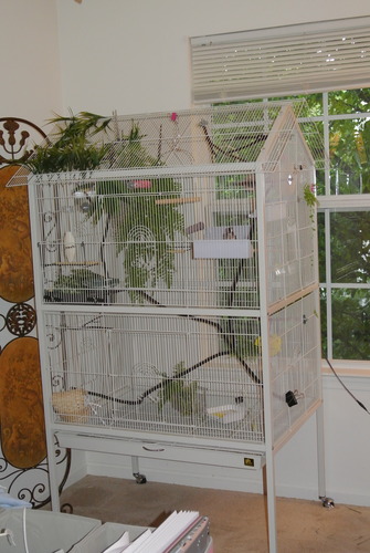 Prevue Pet Products Steel Bird Flight Cage with Wheels - Large Birdcage for Parakeets, Canaries, Finches, Cockatiels, Lovebirds, & Green Cheek, Metal Standing Birdcage - Black, Large customer photo 2