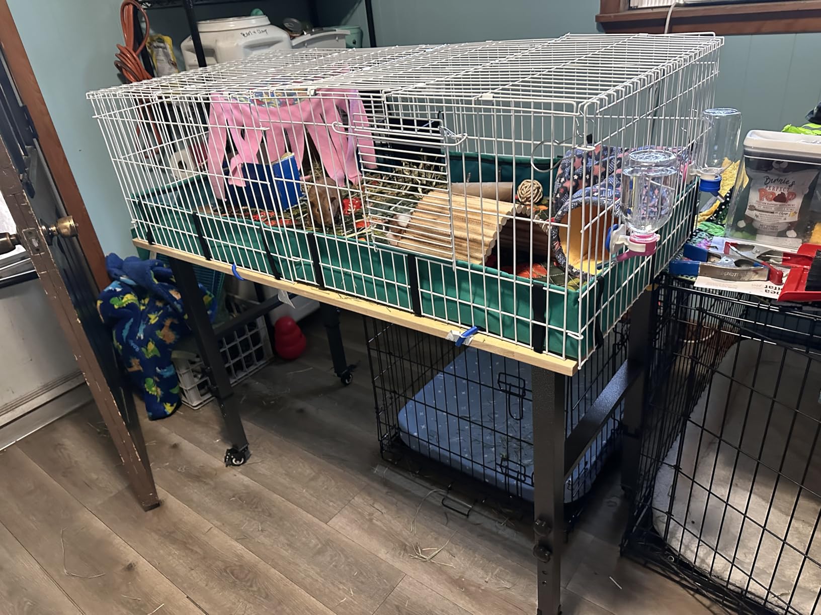 MidWest Homes for Pets Guinea Habitat Plus Cage, Includes Divider Panel and Hinged Top, Washable PVC Canvas Bottom, Expandable Small Animal Cage for Guinea Pigs, 171GHP customer photo 2