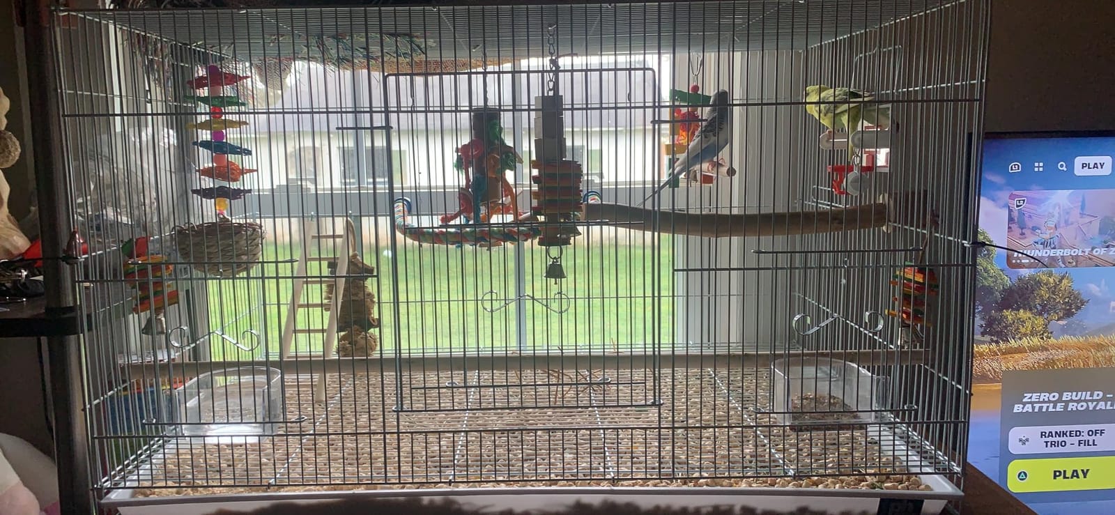 Prevue Pet Products Flight Cage Metal Steel Bird Crate, Multi-Bird Home Stackable Cage for Birds, Home Crate for Extra-Small Pet Parakeets, Finches, and More, White customer photo 2