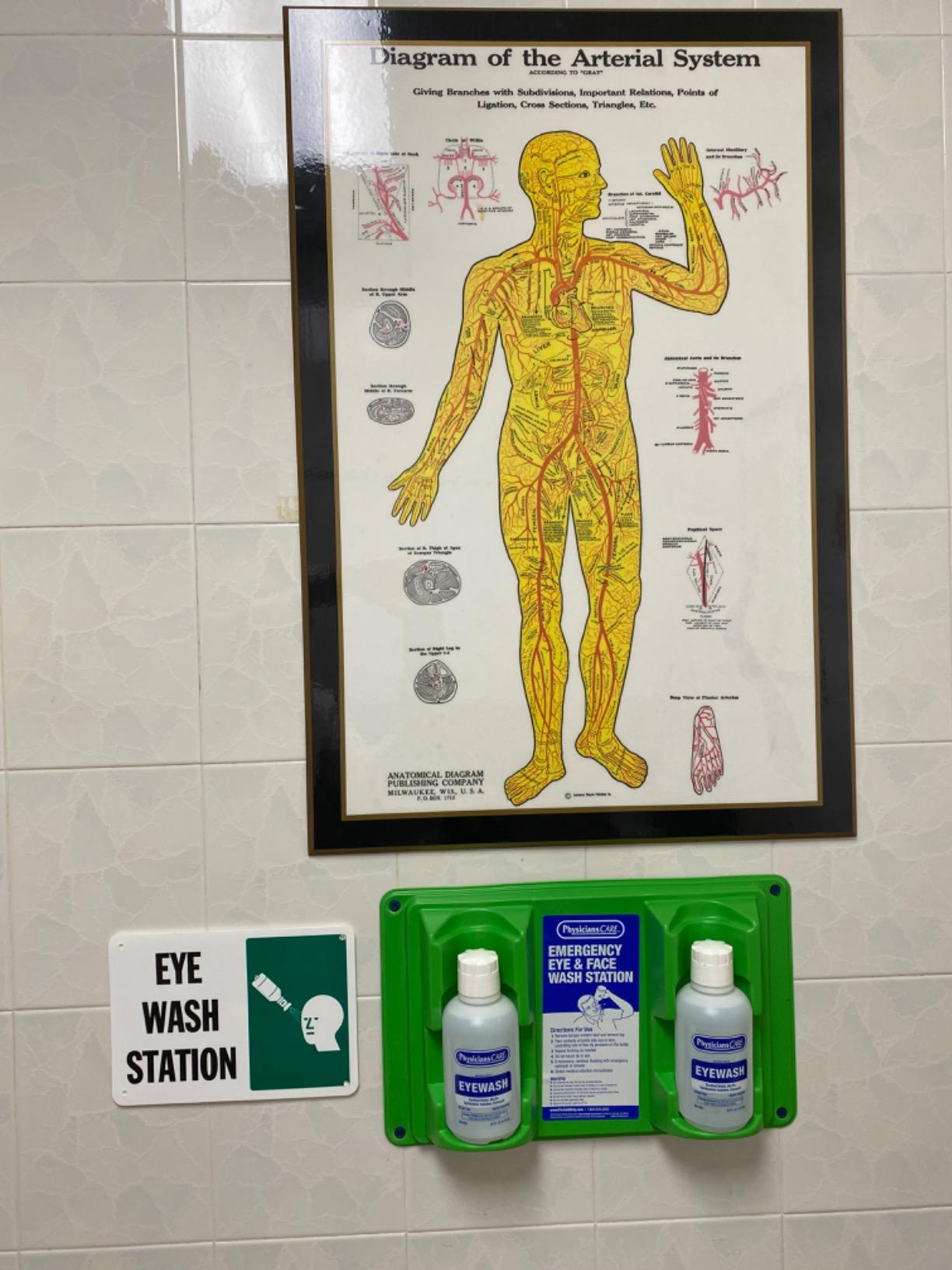 PhysiciansCare Wall-Mountable Eyewash Station with 2 Bottles of Eye Wash Solution, 16 Oz Each customer photo 1