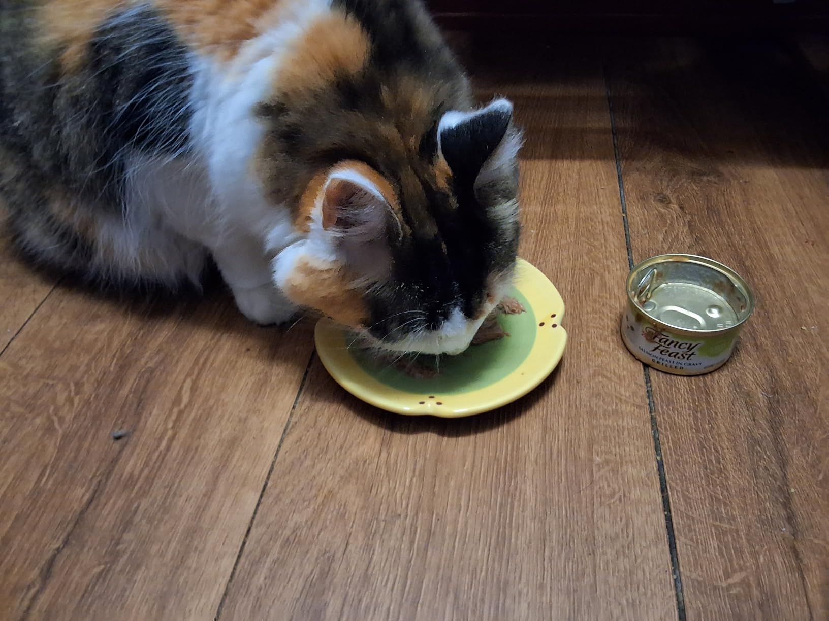 Purina Fancy Feast Grilled Seafood Wet Cat Food, 3 oz Cans, 24-Pack | Variety Pack, crafted with real seafood in savory gravy. Made with no Artificial Colors or Preservatives. customer photo 1