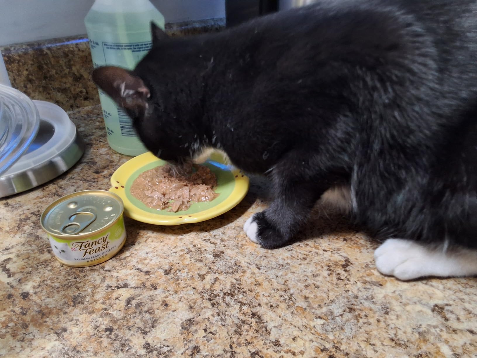 Purina Fancy Feast Grilled Seafood Wet Cat Food, 3 oz Cans, 24-Pack | Variety Pack, crafted with real seafood in savory gravy. Made with no Artificial Colors or Preservatives. customer photo 2