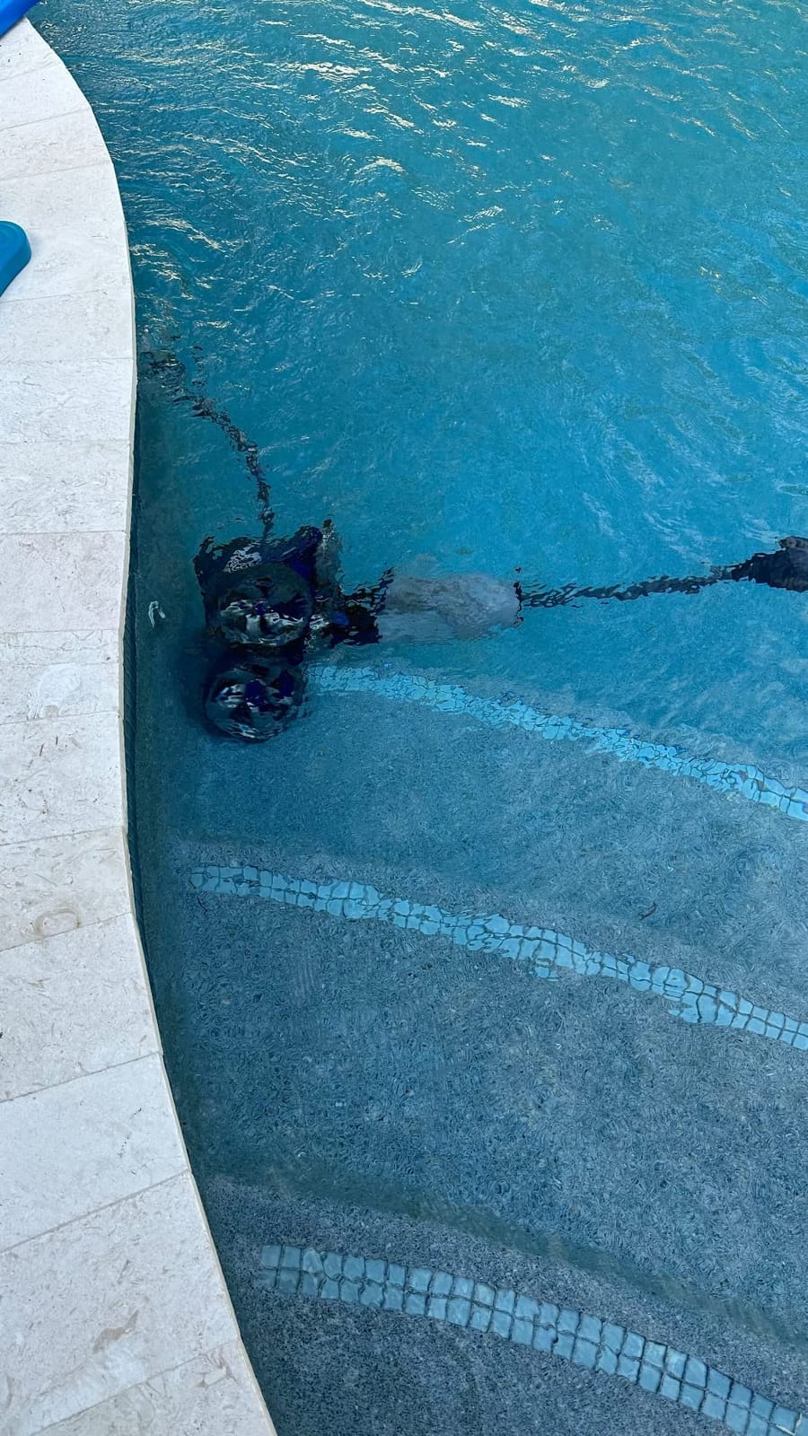 Polaris Vac-Sweep 3900 Sport Pressure Side Pool Cleaner | Booster-Pump Cleaner: All-Wheel PosiDrive, Triple Jets, Dual-Chamber SuperBag, TailSweep PRO & Auto-Reverse, All In-Ground customer photo 2