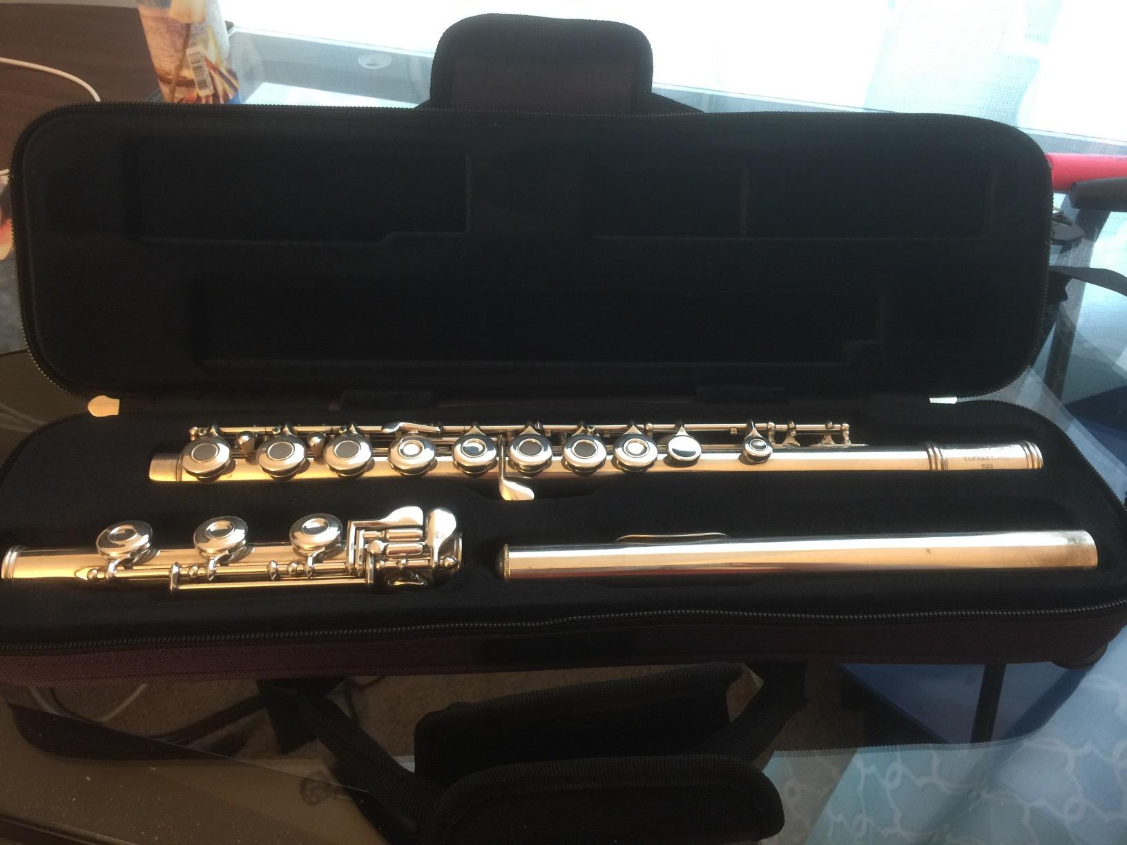 Protec MX308BX Flute (B or C Foot) MAX Case - Blue customer photo 2