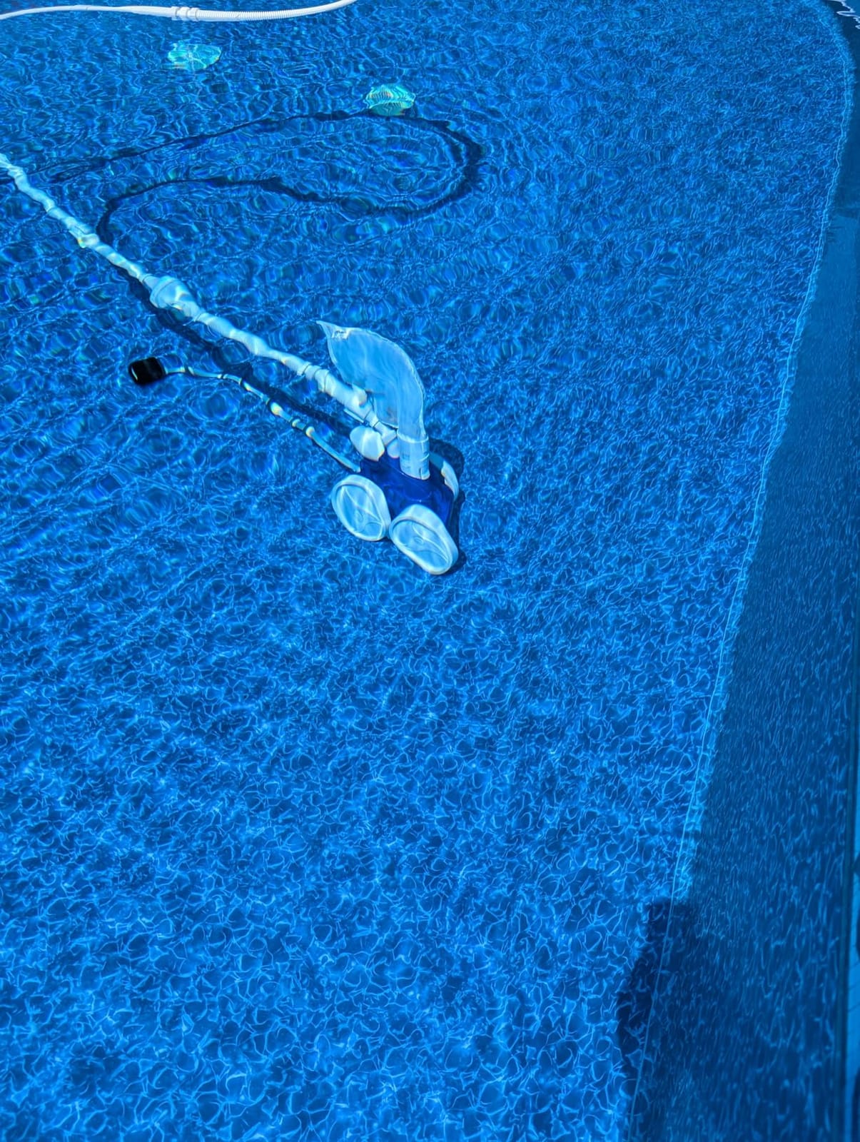Polaris Vac-Sweep 360 Pressure-Side Cleaner for In-Ground Pools | Pressure-Side Cleaner Needs No Booster Pump; Triple Jets & a 2.25-Inch Inlet Grab Large Debris, 31ft Hose & Bag customer photo 1