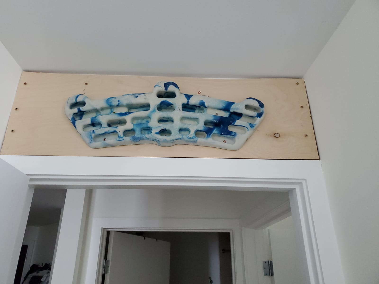 Metolius Simulator 3D Training Board customer photo 2