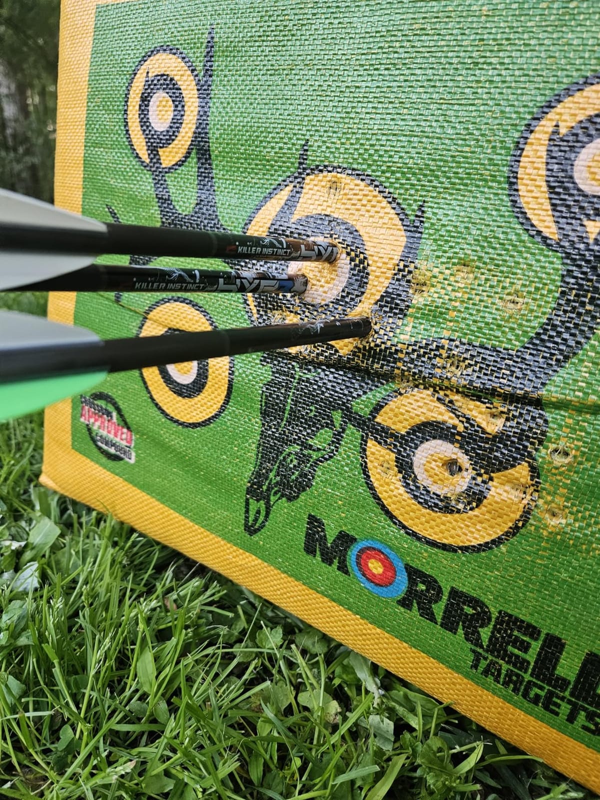 Morrell Double Duty 450 FPS Cube Field Point Archery Bag Target with Traditional Bullseyes, Nine-Ball, Dartboard Game, and Deer Vitals, Yellow customer photo 1