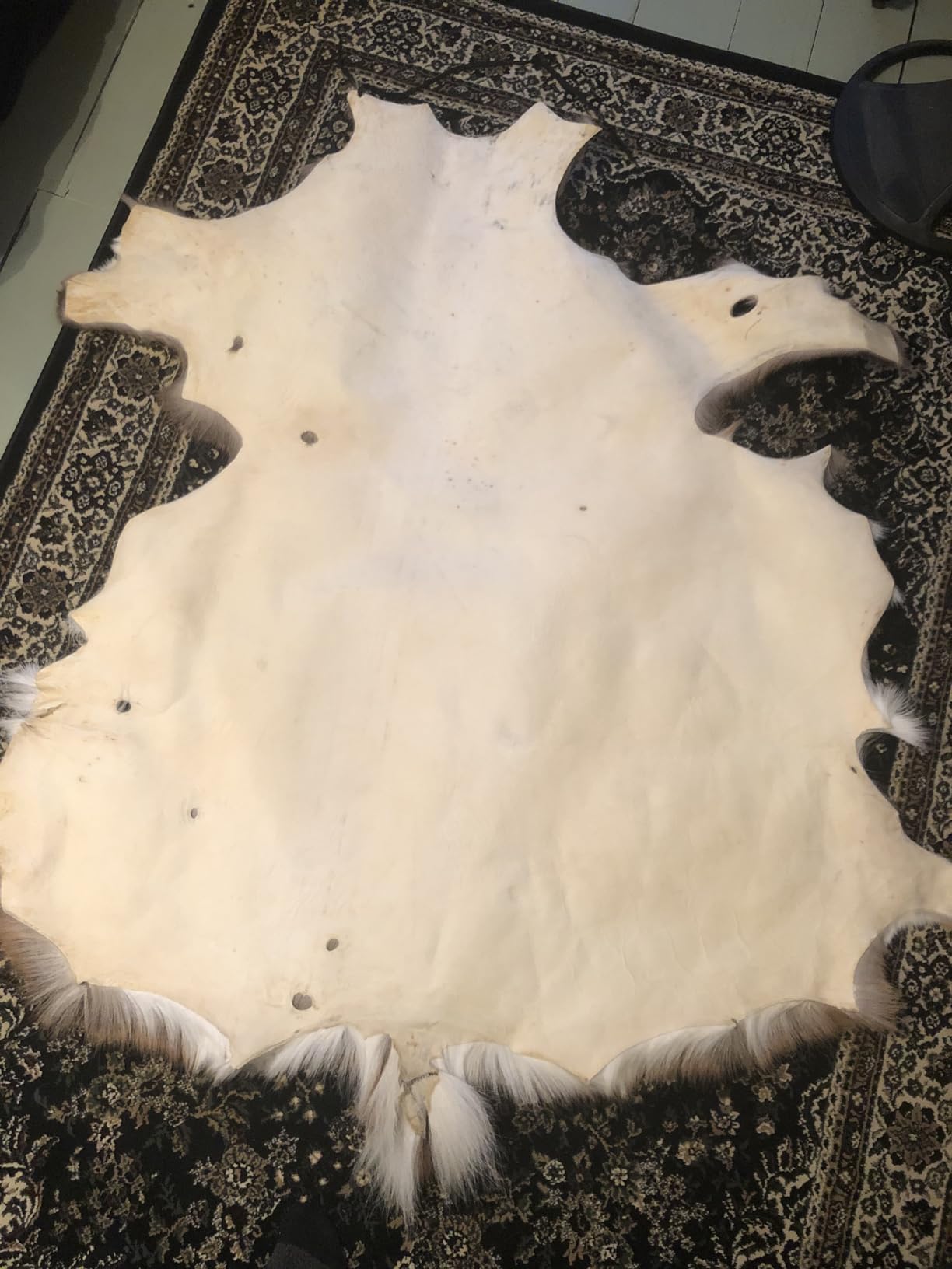 NW Trappers Deer Hunter's and Trapper's Hide and Fur Tanning Formula, 8 oz customer photo 2