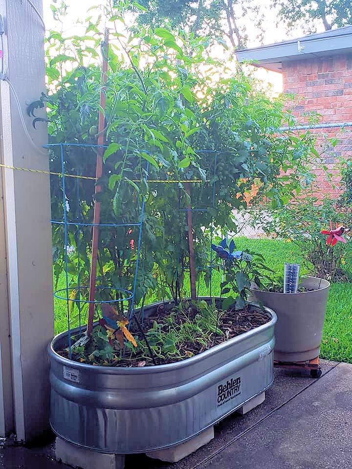 Behlen Country ST216 Shallow Galvanized Steel Round End Stock Tank, Approximately 70 Gallons customer photo 1