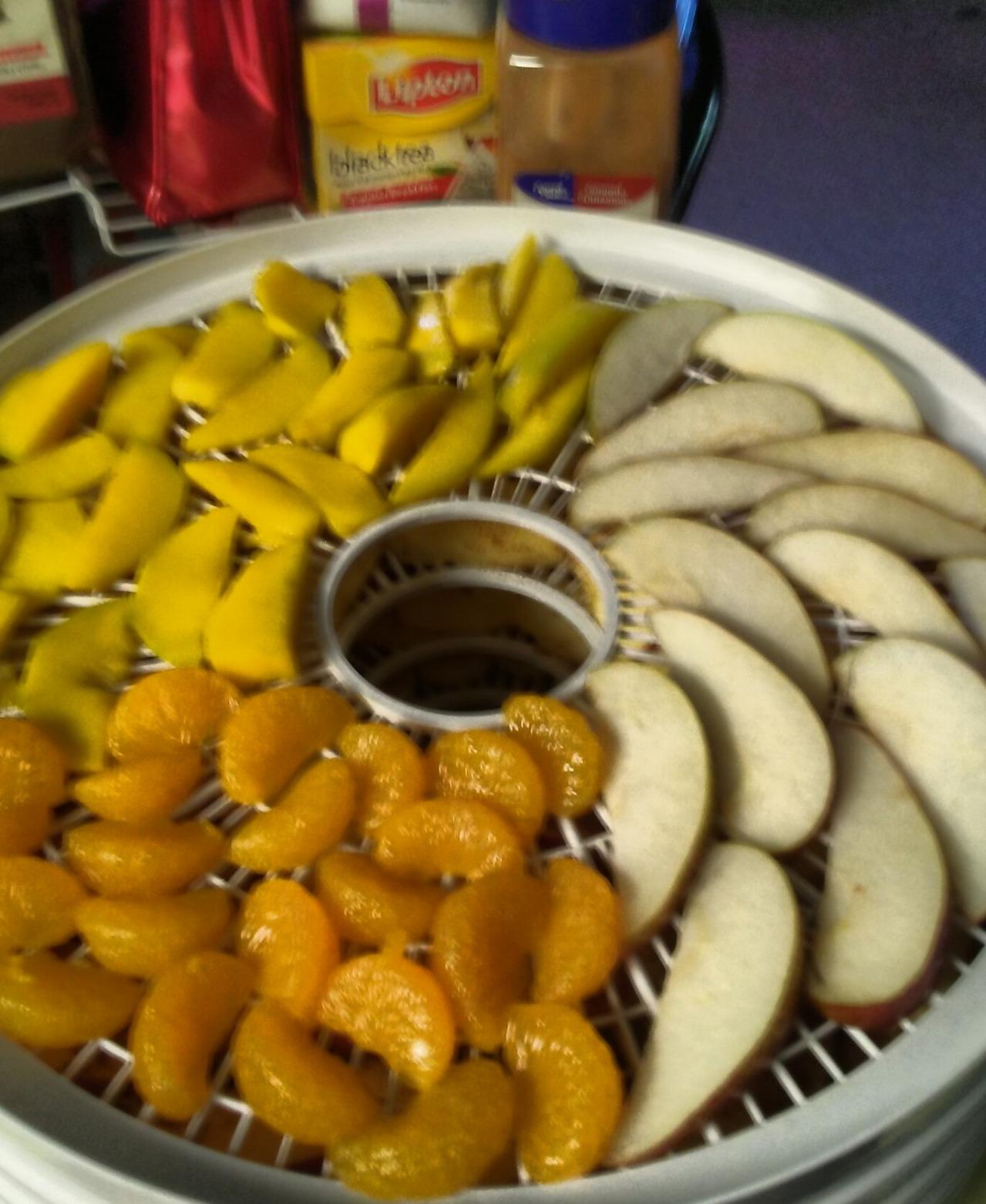 NESCO FD-37 Food Dehydrator, For Snacks, Fruit, Beef Jerky, White/Clear, 4 Trays customer photo 1