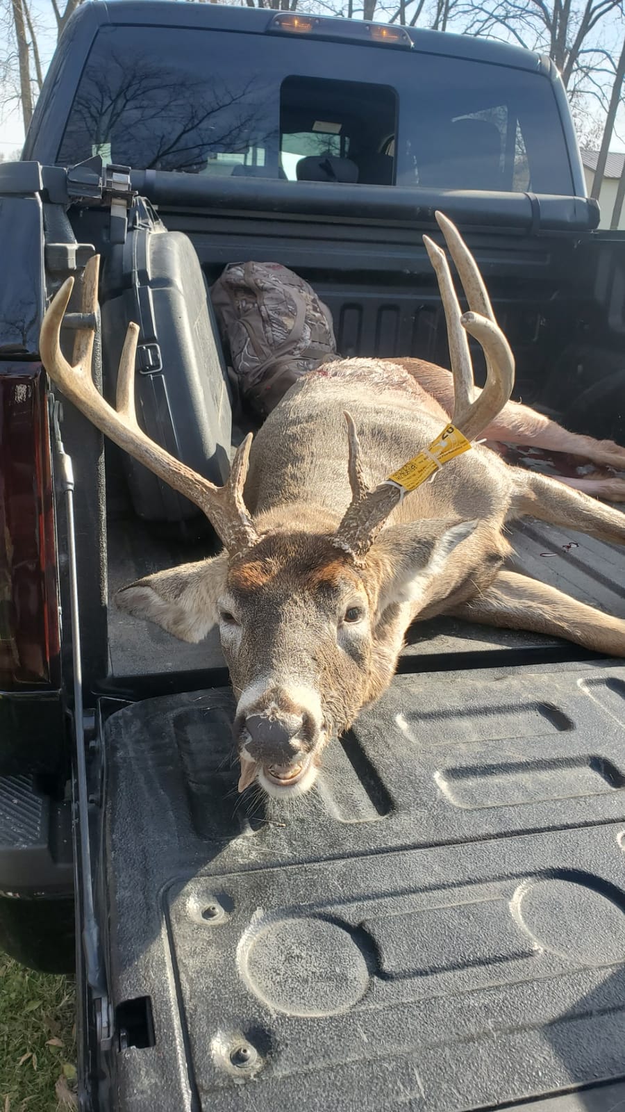 Montana Decoy Dream Team Buck and Doe customer photo 2