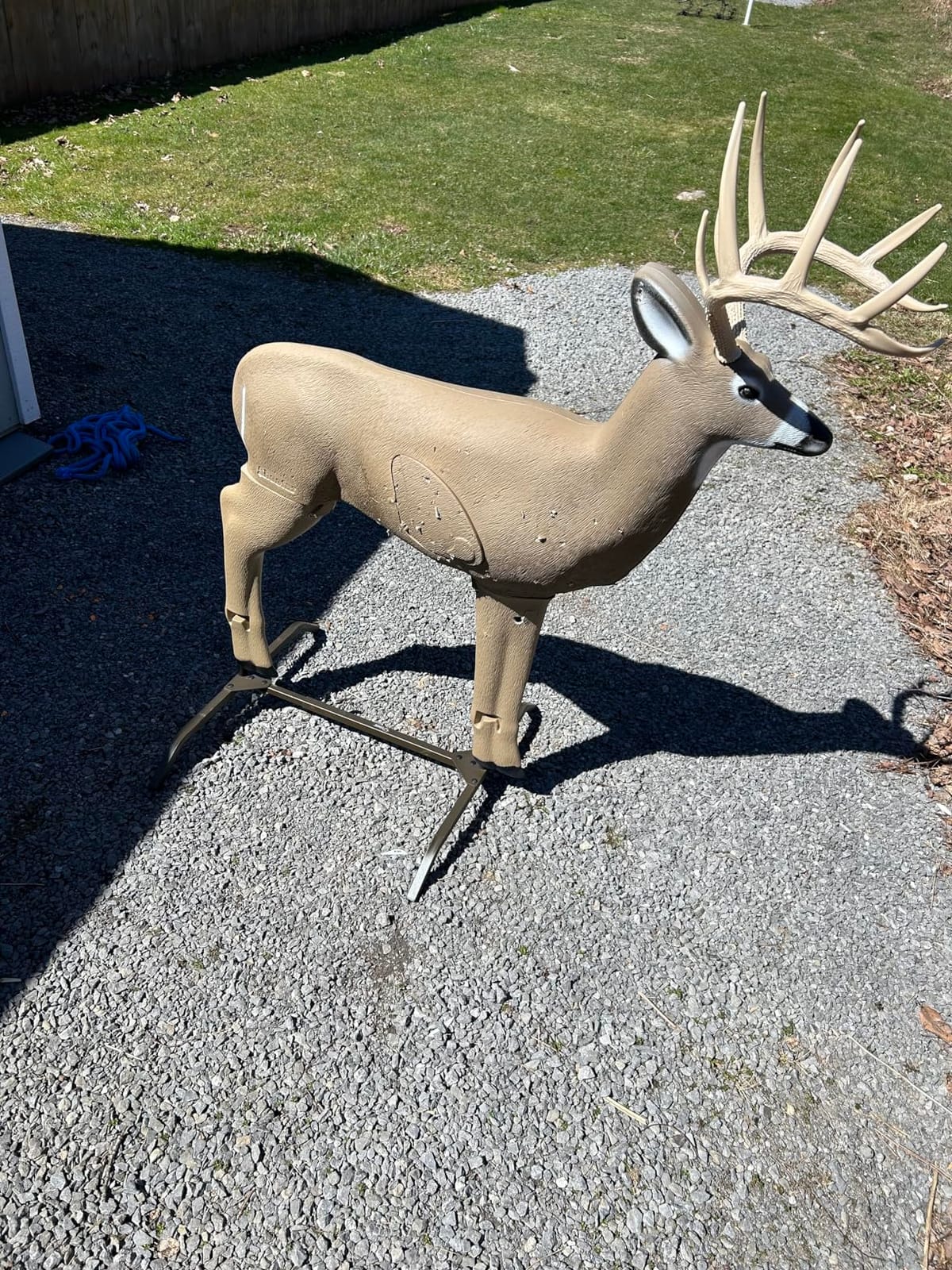 SHOOTER Buck 3D Archery Target, Replaceable Insert for Long Life, Weather-Resistant Construction, High-Density Impact-Response Foam Withstands Field Points, Broadheads, and Expandables customer photo 1