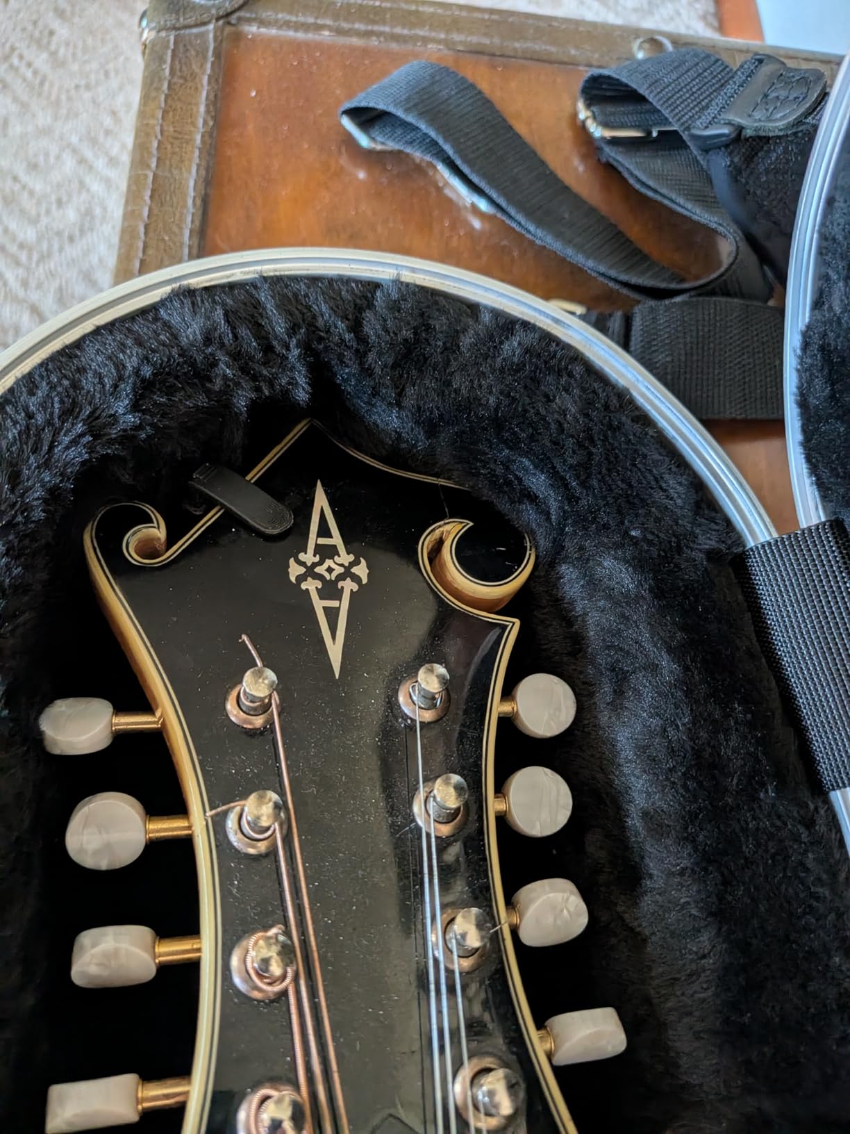 Gator Cases Deluxe ABS Molded Case for Mandolin's; Fits Both 'A' and 'F' Style Mandolin's (GC-MANDOLIN) customer photo 1