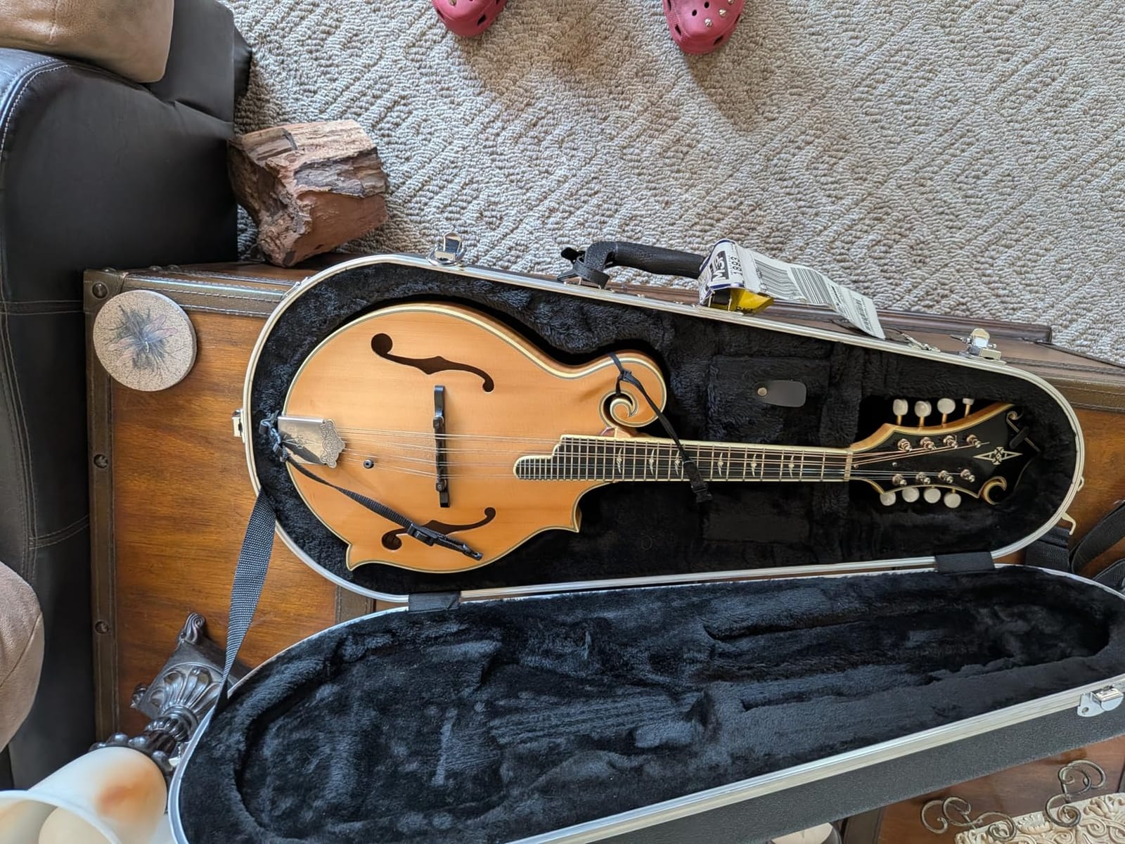 Gator Cases Deluxe ABS Molded Case for Mandolin's; Fits Both 'A' and 'F' Style Mandolin's (GC-MANDOLIN) customer photo 2
