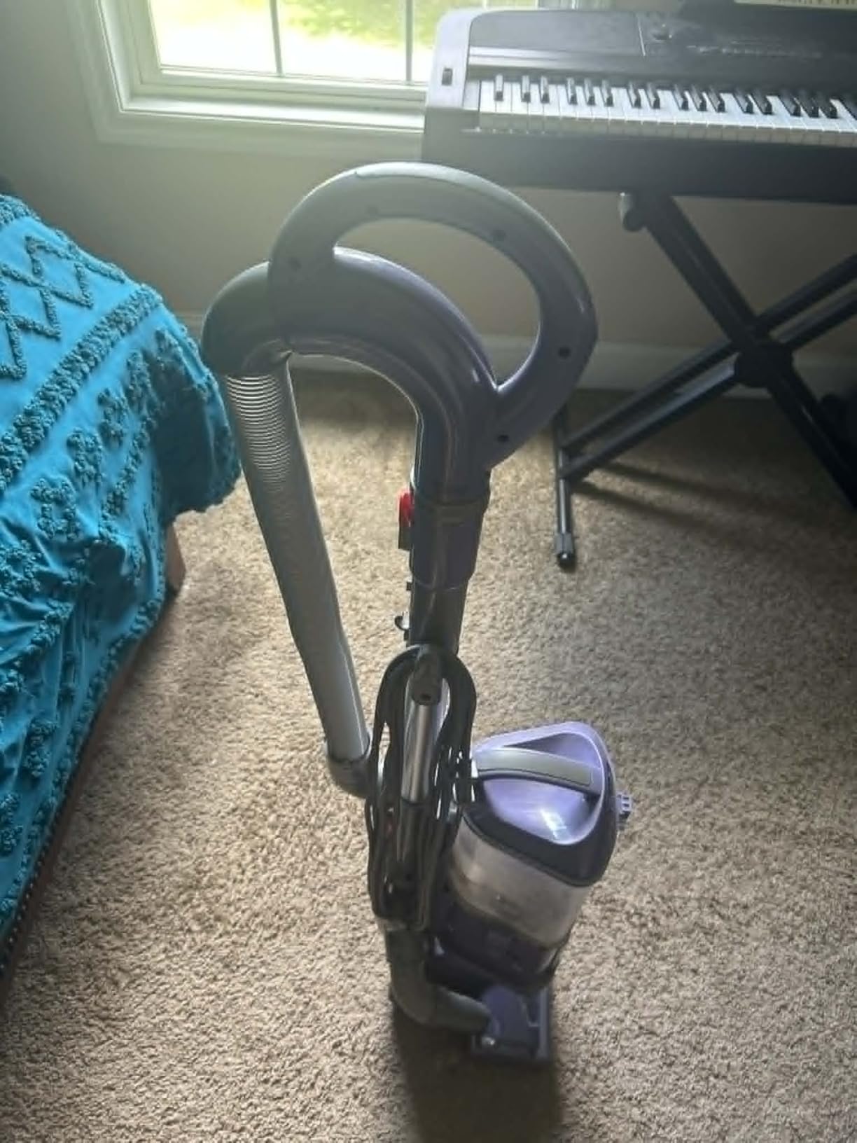 Shark Navigator Lift-Away Upright Vacuum, HEPA, Pet Hair, Lavender, NV352 | Carpet and Hard Floor Cleaning, Swivel Steering, Brushroll Shutoff, 1.04L Dust Cup, Wide Upholstery and 12-in Crevice Tools customer photo 1