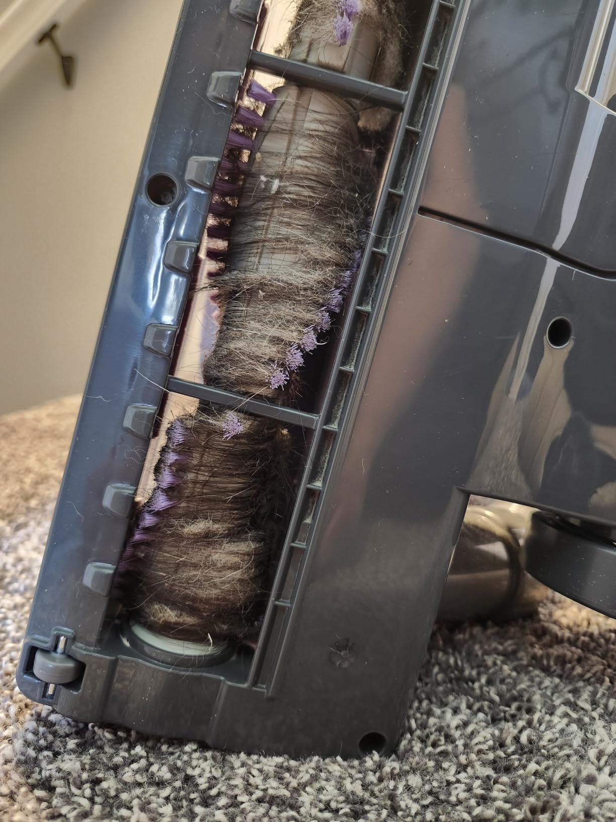 Shark Navigator Lift-Away Upright Vacuum, HEPA, Pet Hair, Lavender, NV352 | Carpet and Hard Floor Cleaning, Swivel Steering, Brushroll Shutoff, 1.04L Dust Cup, Wide Upholstery and 12-in Crevice Tools customer photo 2