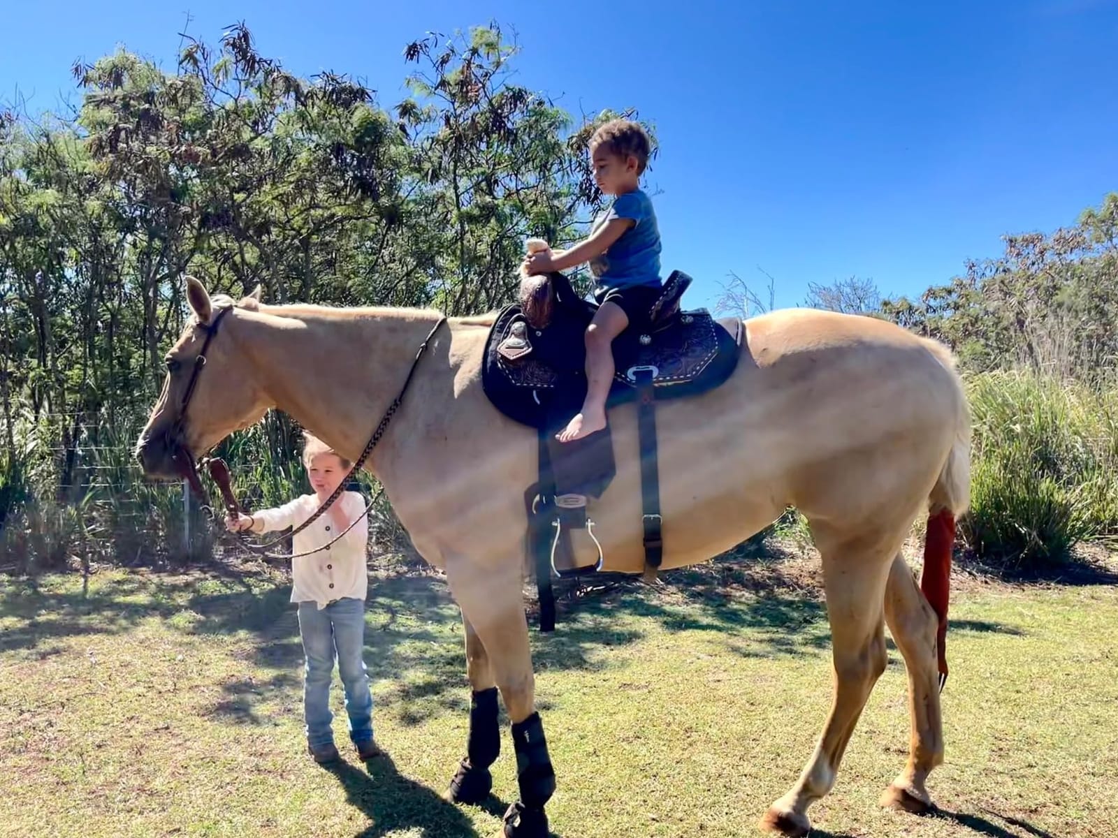 Reinsman Contoured Trail Pad with Breathable Non-Slip Tacky Too Bottom - Shock-Absorbing Horse Saddle Pad customer photo 1