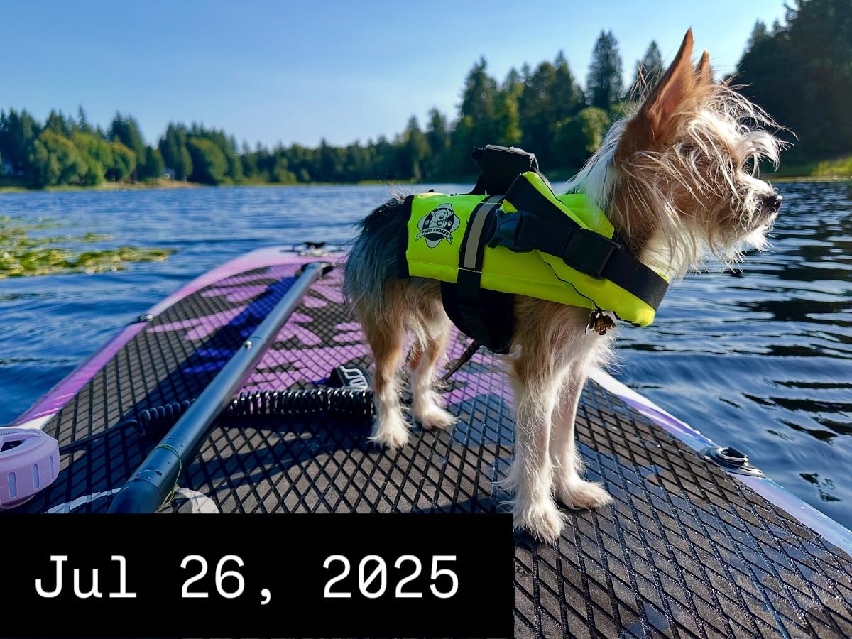 Dog Life Jacket - Premium Swim Vest with SafeChin Anti-Choke Collar | PAWS Aboard Red | RapidLift Rescue Handle, D-Ring, Reflective Trim | Boating, Kayaking, Pool | X-Large (80-110 lbs) customer photo 1